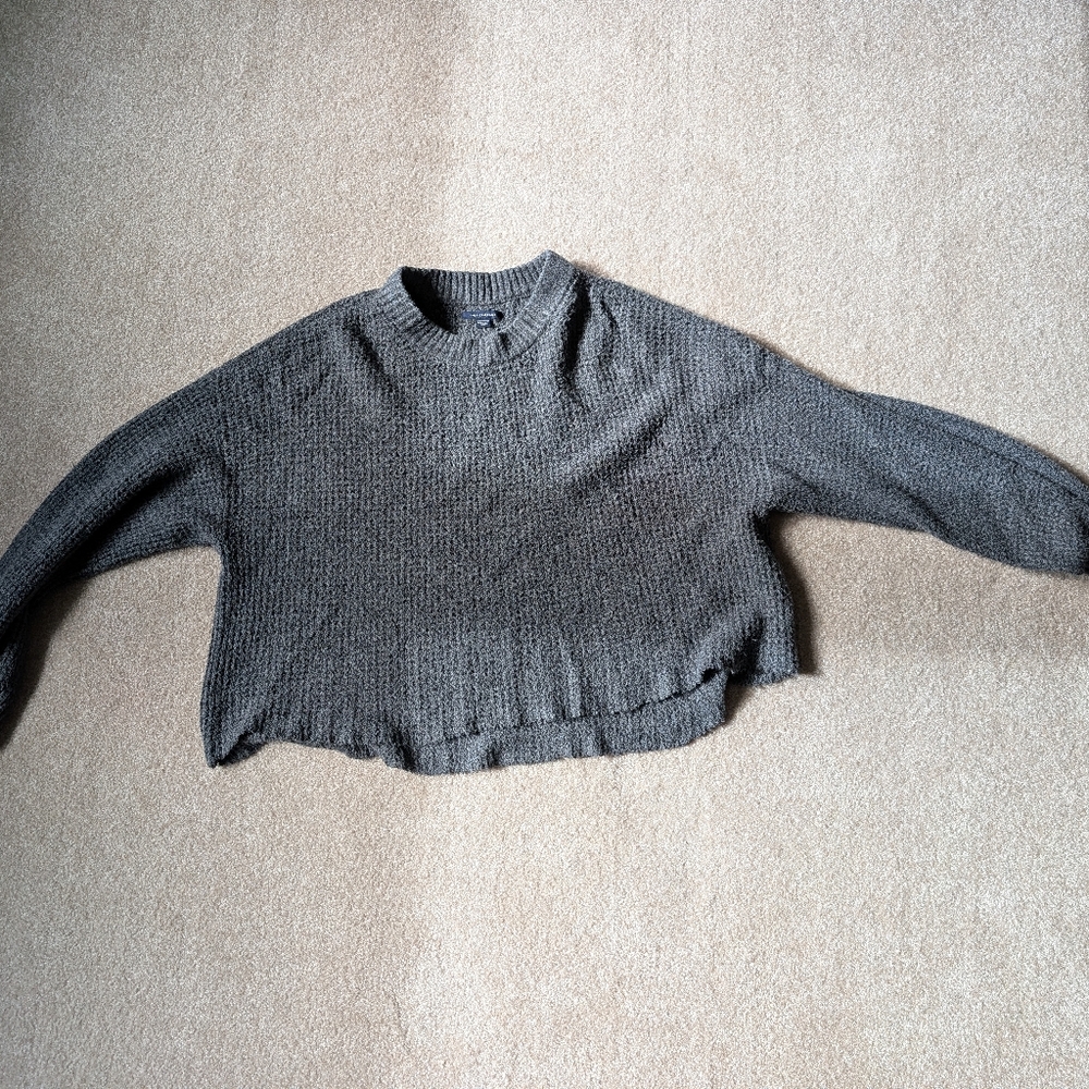 American Eagle Outfitters Cropped Sweater
